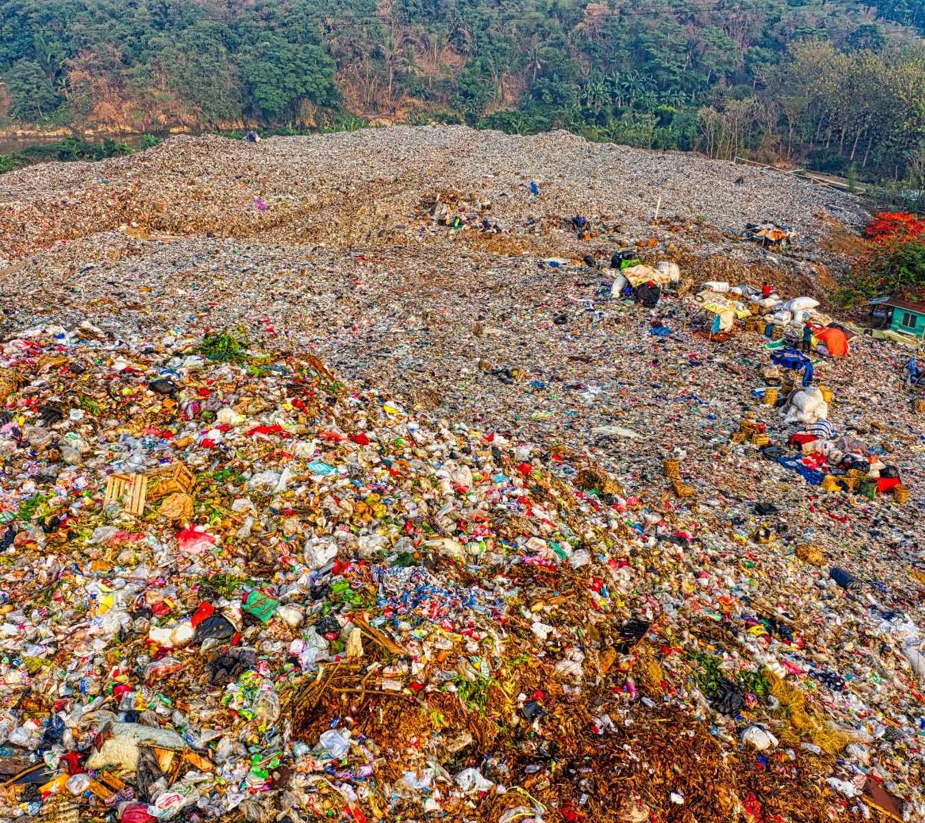 Landfill dwarfing trees in the background
